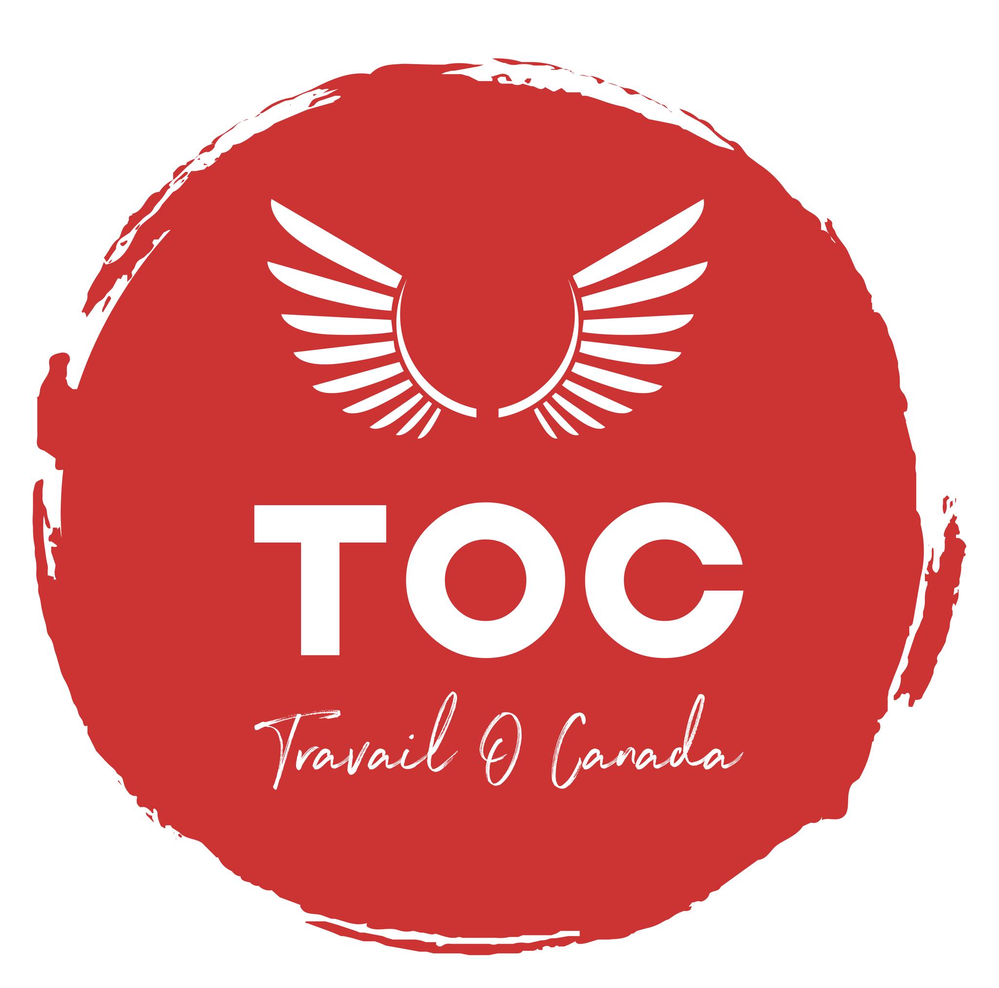 TOC Mobilité Internationale